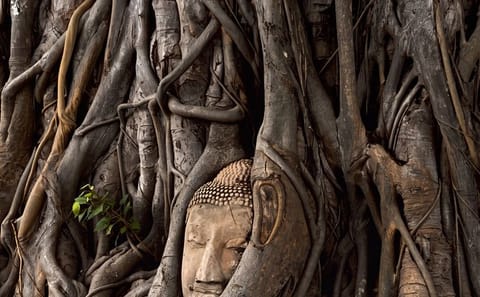 Bangkok Private Day Tour to Ayutthaya Temples and Baiyoke