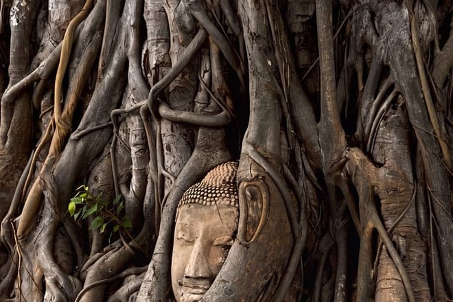 Bangkok Private Day Tour to Ayutthaya Temples and Baiyoke photo 3