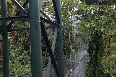 Desde San José Puentes Colgantes con Zip Line en bosque nuboso, le experiencia del día