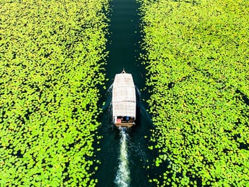 The calm waters of Lake Skadar reflect the delicate blooms of water lilies on our tour.