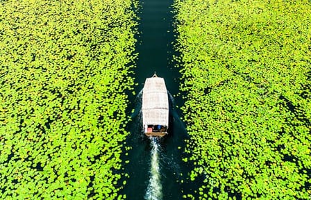 Skadar Lake National Park: Guided Boat Tour with Wooden Boat