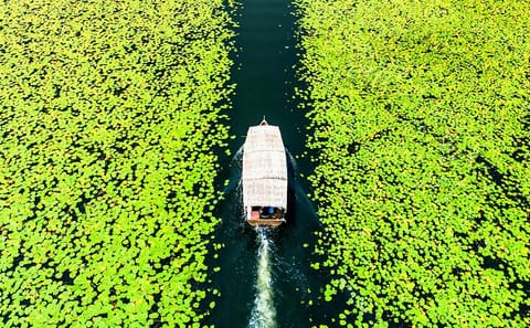 Guided Boat Tour in Skadar Lake National Park, Montenegro