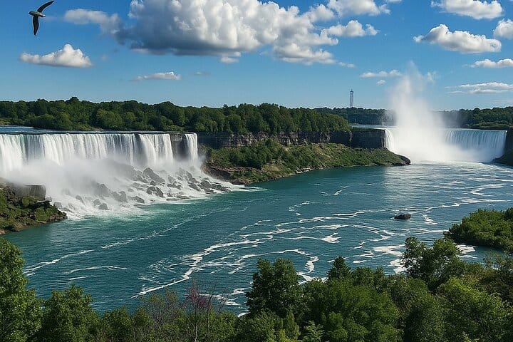 Walking Tour with Boat Cruise & Skylon Tower Panoramic View 5