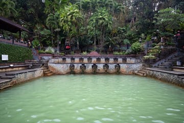 Munduk Waterfall Dolphin Watching and Snorkeling Tour