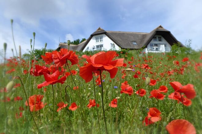 Usedom Private Walking Tour With A Professional Guide photo 2