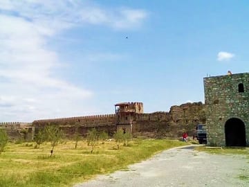 Tbilisi to Rkoni: Explore History & Nature Highlights