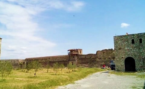 Pankisi Valley ATV and Cultural Tour from Tbilisi