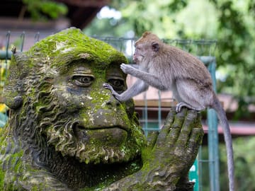 Ubud Sacred Monkey Forest