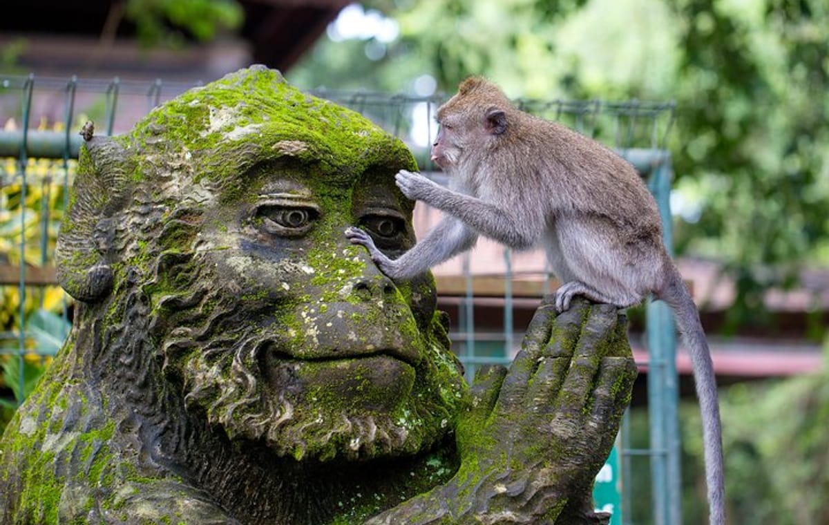 Half Day Ubud Tour: Ubud Unique Spots