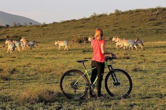 Guest enjoying a cycling safari while observing zebras in Arusha National Park, Tanzania.