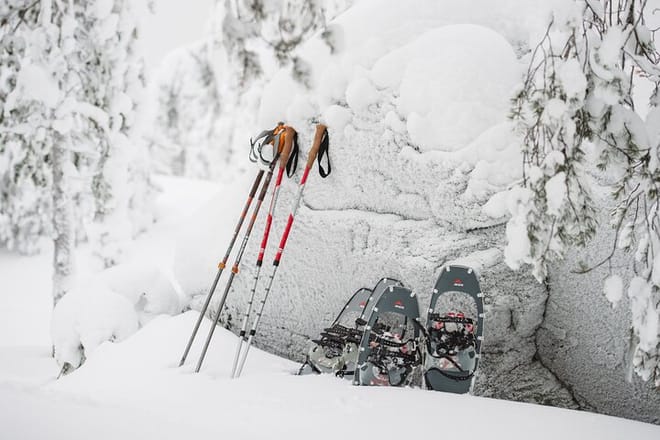 Snowshoeing Tour