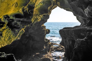 Half-Day Tour tangier with Pick-up & Drop-off: Donabo Garden, Hercules Caves & Camel Ride