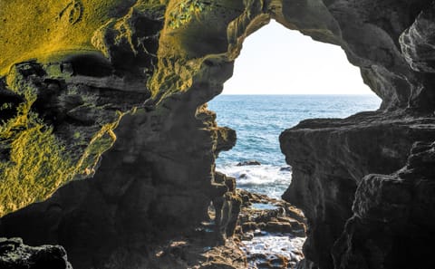 Half-Day Tour tangier with Pick-up & Drop-off: Donabo Garden, Hercules Caves & Camel Ride