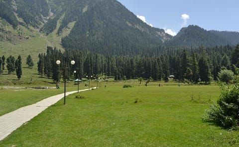 Pahalgam Day Trip from Srinagar with Cultural Highlights