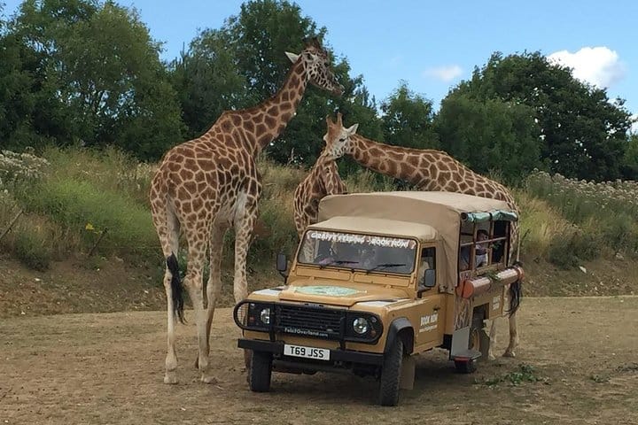 Theme Parks of London Chessington Full-Day Private Tour 3