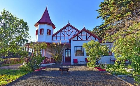 Patagonia Ranch and El Pedral Penguin Colony Tour from Puerto Madryn
