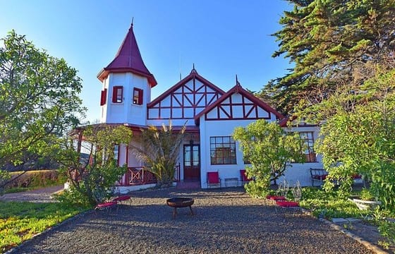 Patagonia Ranch and El Pedral Penguin Colony Tour from Puerto Madryn