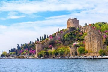 Bosphorus Cruise and Beylerbeyi Palace Tour in Istanbul