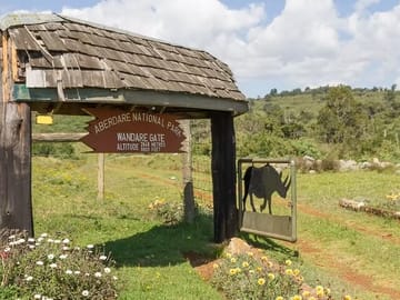 Nairobi Museum Snake Park Giraffe Center and Beads Center Tour