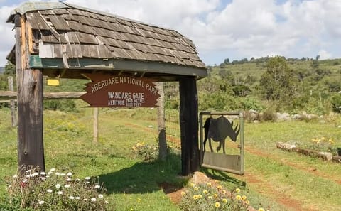 2-Day Luxury Lodge Safari in Aberdare National Park, Kenya