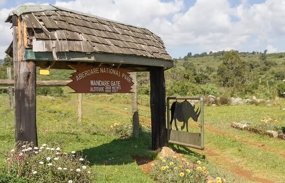 2 days Aberdare National Park Luxury Lodge Safari