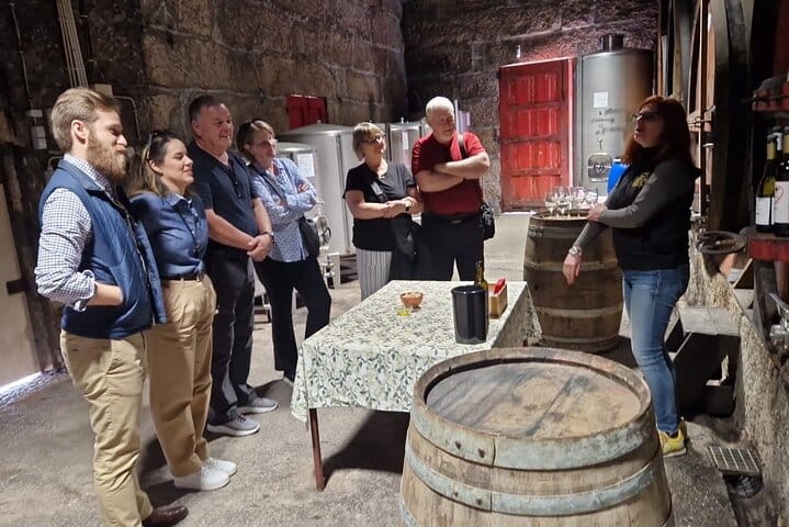 DOURO VALLEY & AMARANTE: Scenic or Wine Experience Private Tour