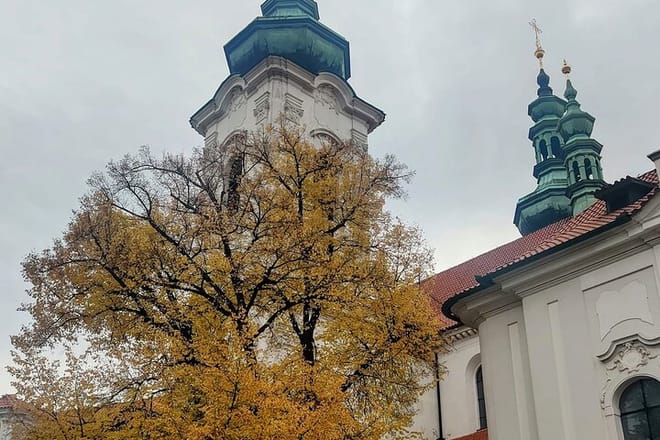 Private Strahov Monastery Library and Art Gallery Experience
