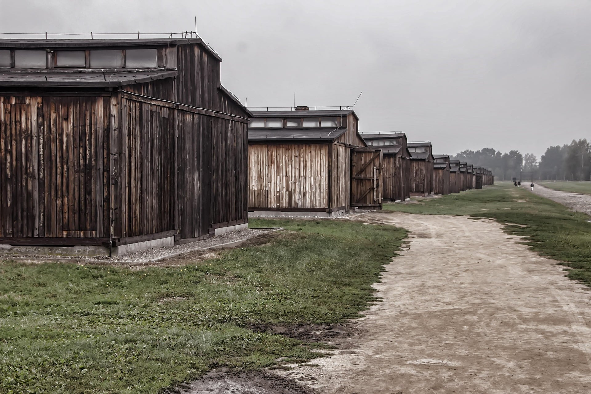 Wooden barracks along a dirt path at Auschwitz II-Birkenau