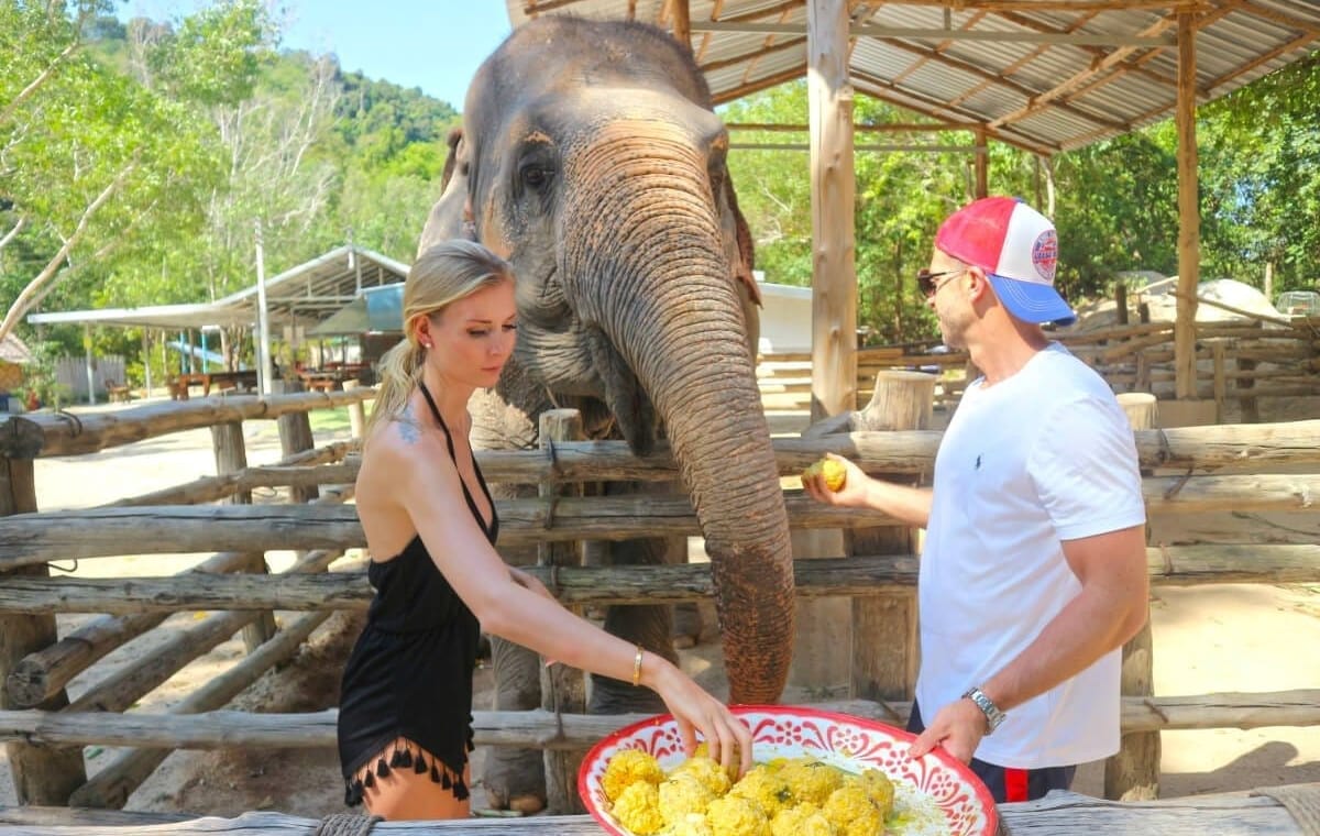 Phuket: Private VIP Elephant Care Program