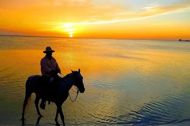 Horseback Riding on the Beaches of Holbox photo 2