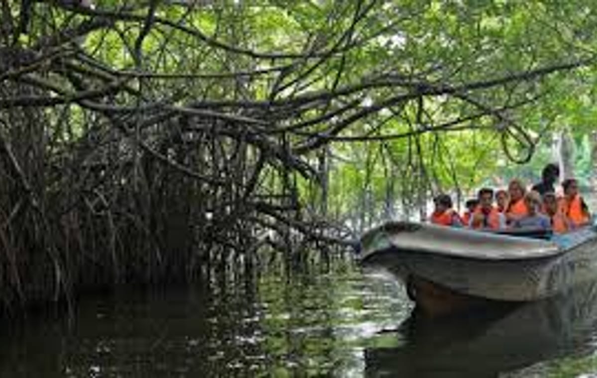 Make your honeymoon memorable with this romantic honeymoon package to Sri Lanka.