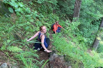 Kashmir 5-Day Trek from Srinagar to Naranag and Dumail