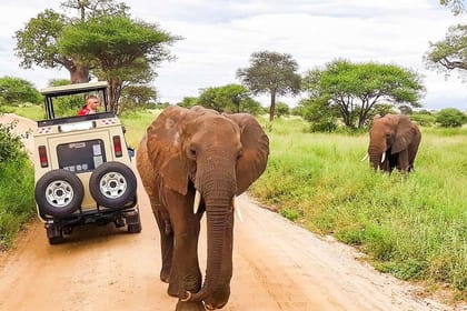 14-Day Best of Kenya & Tanzania Luxury Safari+ Zanzibar Beach Holiday