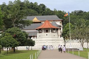 Private All Inclusive Kandy Tour from Bentota and Beruwela