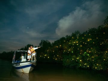 Kuala Selangor Fireflies and Seafood Dinner Night Tour