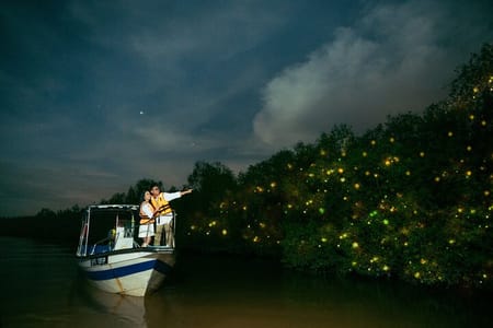 Fireflies and Bioluminescent Night Tour with Seafood Delight (Meet at Location)