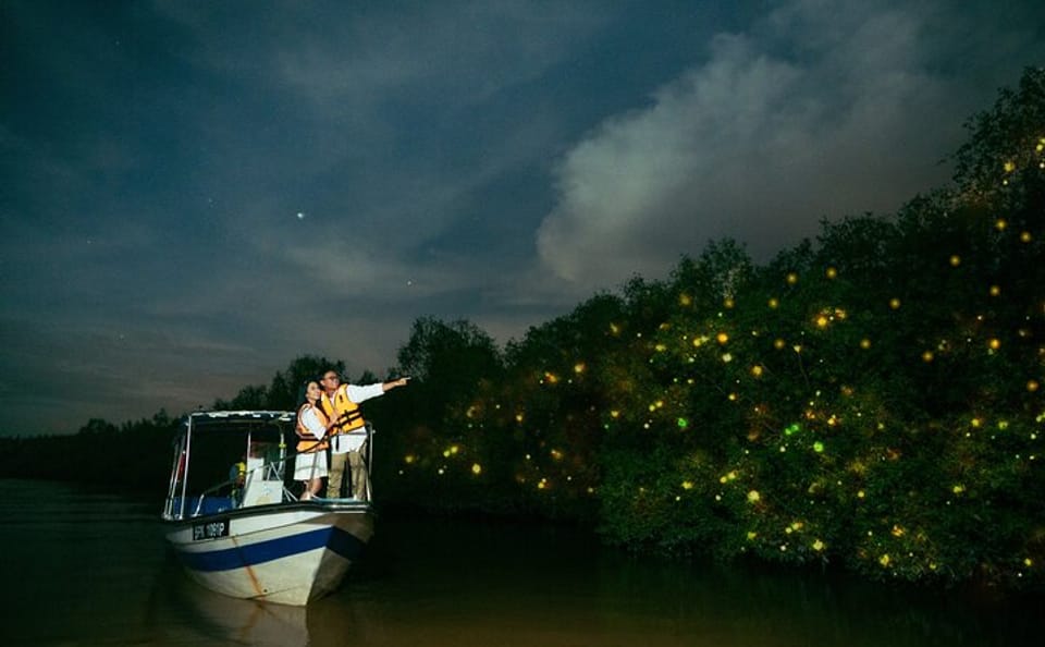 Kuala Selangor Fireflies and Seafood Dinner Night Tour