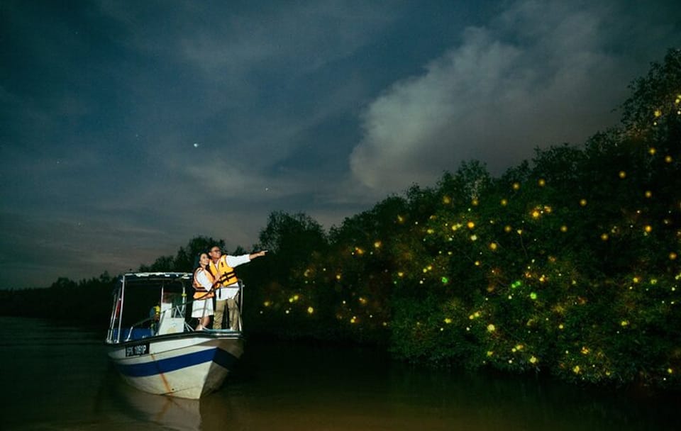 Fireflies and Bioluminescent Night Tour with Seafood Delight (Meet at Location)