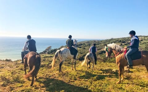 Tangier Mountain and Sea Horseback Riding Adventure