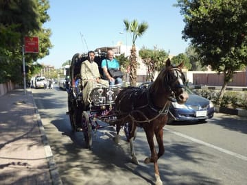 Private Guided Day Tour of Luxor from Marsa Alam