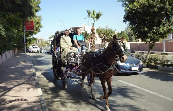 Marsa Alam Private, Guided Luxor Day Tour, Lunch, fees