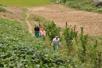 Three-Day Trekking Adventure in Ba Be, Vietnam
