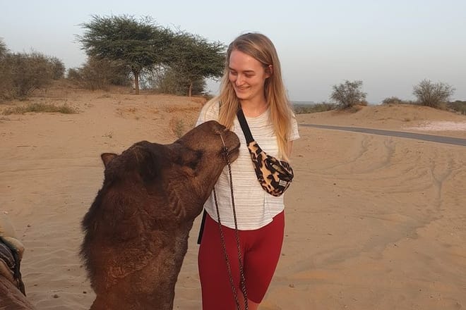 Guest with Camel.