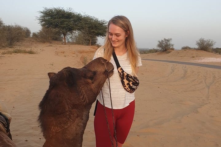 Guest with Camel.