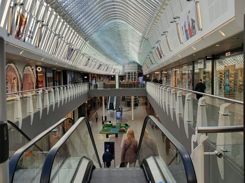 Reykjavik Shopping Spree Private Tour