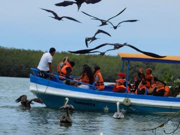 Mangrove Exploration Tour in Puerto Pizarro, Tumbes