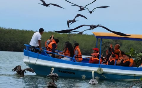 Mangrove Exploration Tour in Puerto Pizarro, Tumbes