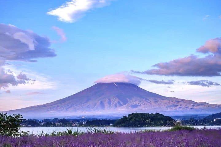 Mt. Fuji,Saiko Iyashi-no-Sato Nenba&Kawaguchi Lake 3