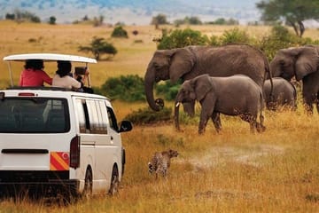 3-Day Masai Mara Safari with Hot Air Balloon Ride in Kenya