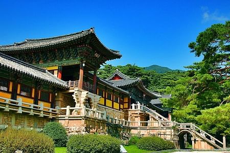 Customized Gyeongju Private Tour: Discover Hidden Gems with a Local Guide